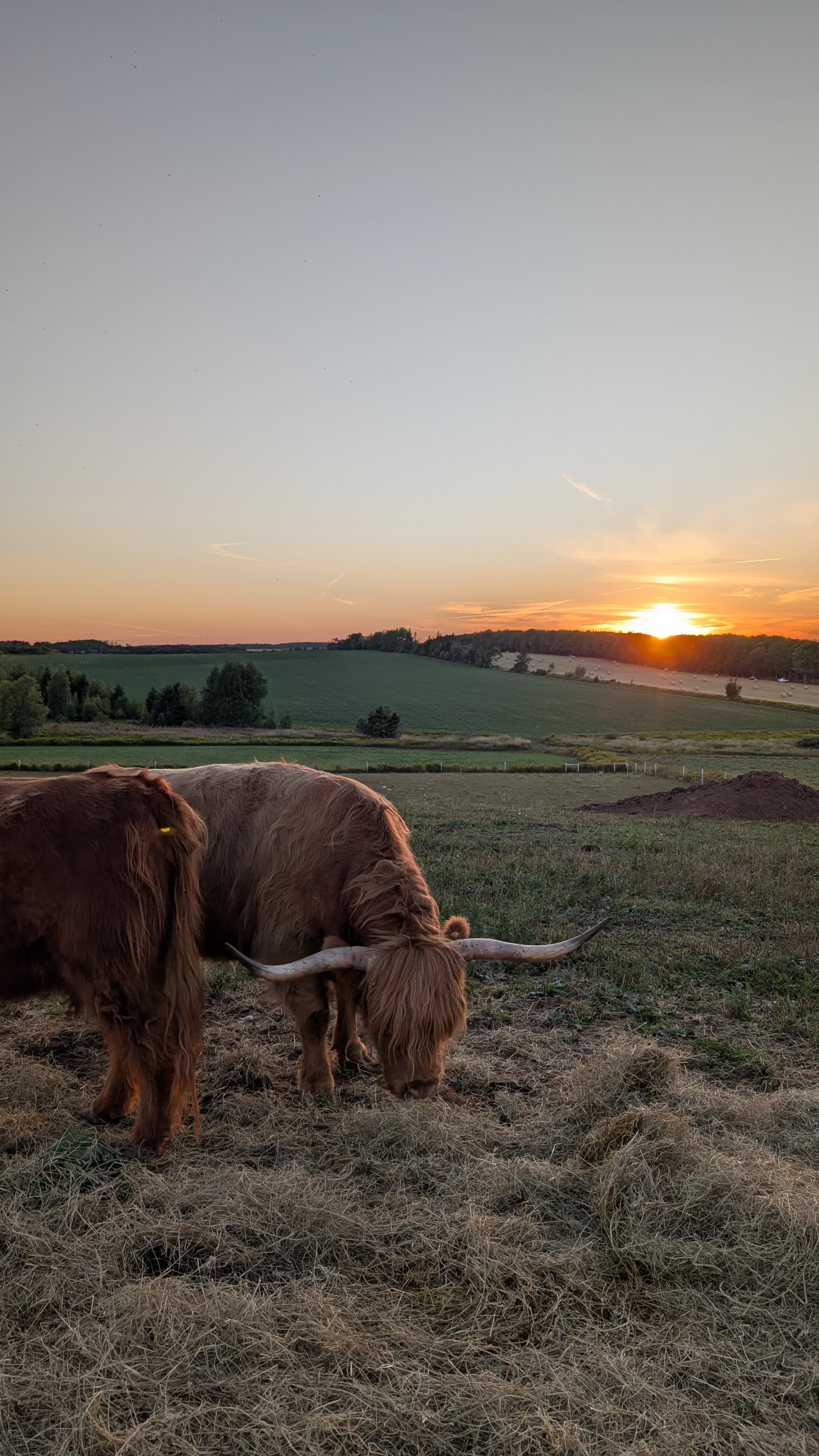 Image partenaire Harvest Hosts